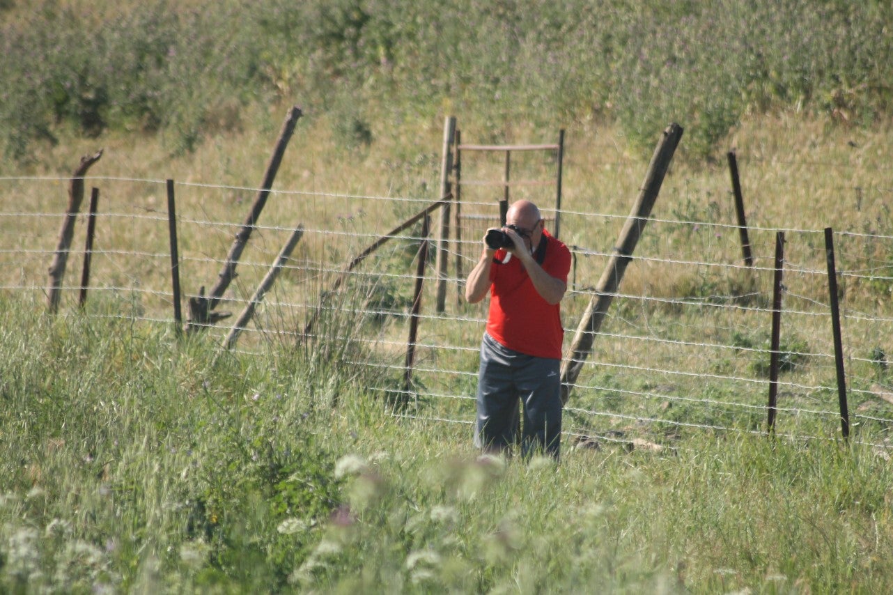 Imágenes de las actividades desarrolladas el domingo en la novena edición de 'vive la Trashumancia' (05-05-2019)