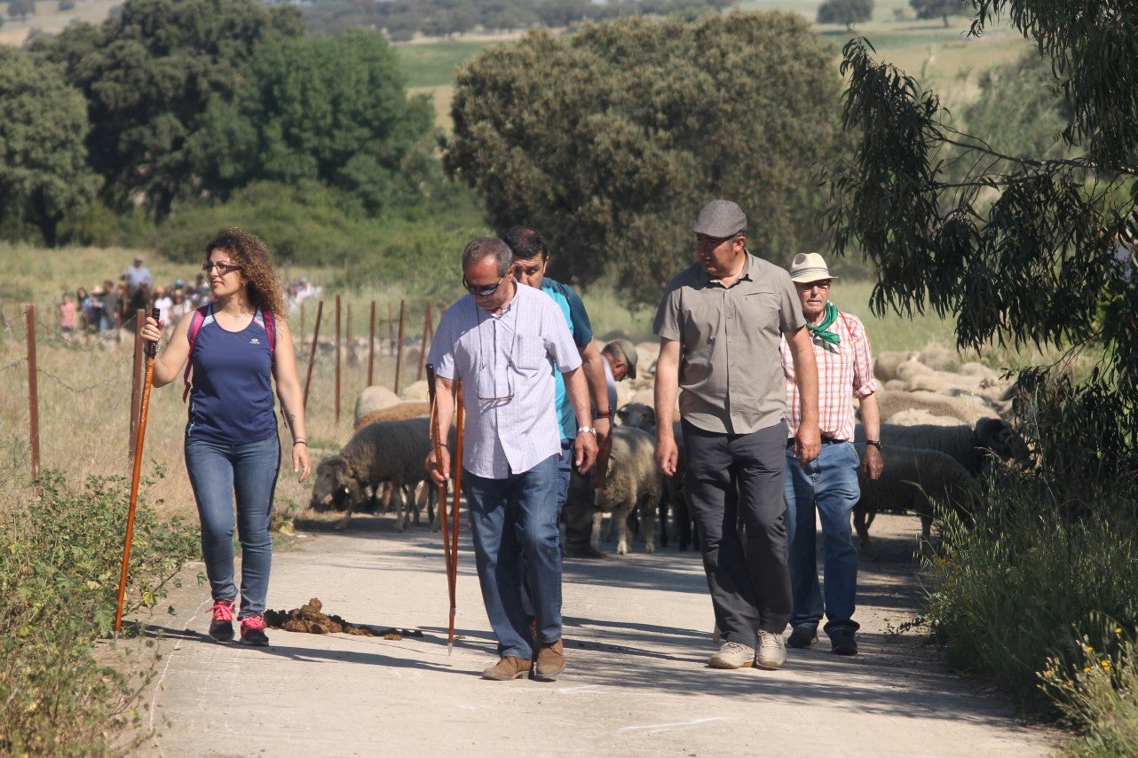 Imágenes de las actividades desarrolladas el domingo en la novena edición de 'vive la Trashumancia' (05-05-2019)