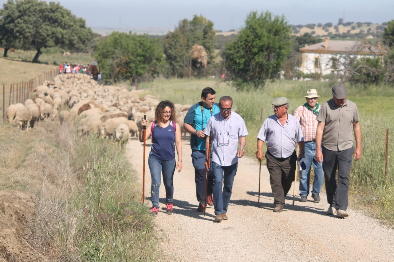 Imágenes de las actividades desarrolladas el domingo en la novena edición de 'vive la Trashumancia' (05-05-2019)