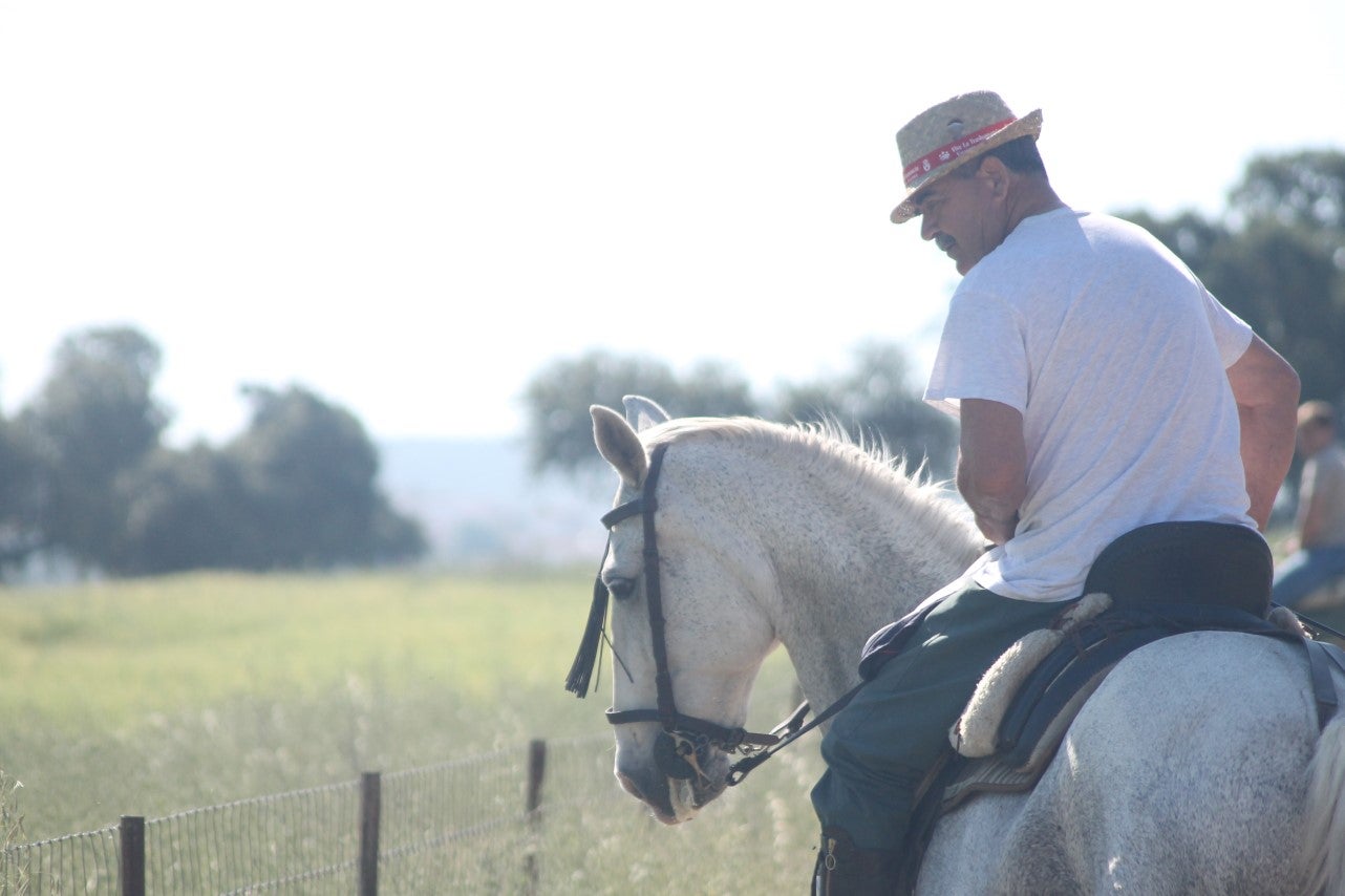 Imágenes de las actividades desarrolladas el domingo en la novena edición de 'vive la Trashumancia' (05-05-2019)