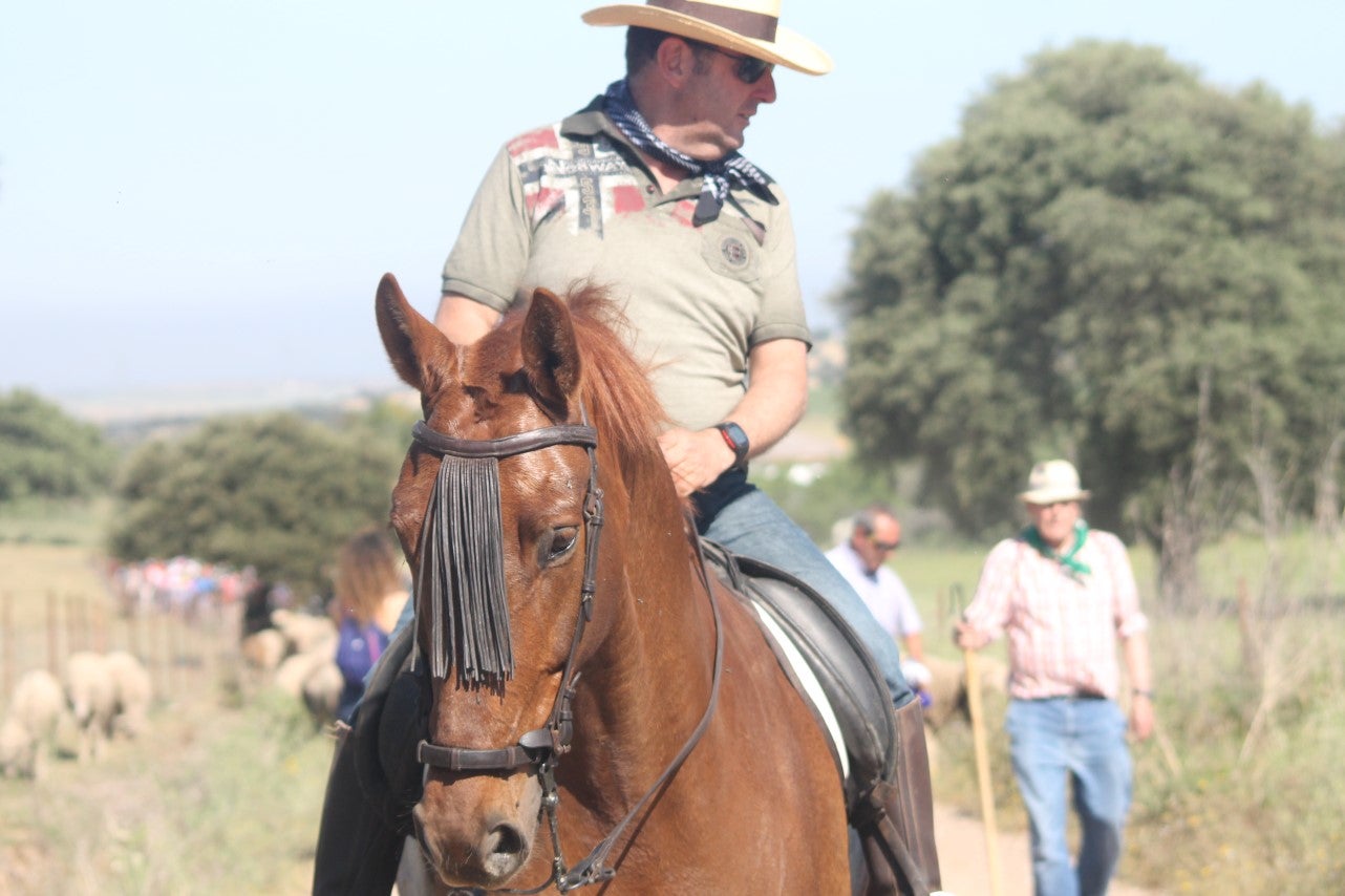 Imágenes de las actividades desarrolladas el domingo en la novena edición de 'vive la Trashumancia' (05-05-2019)