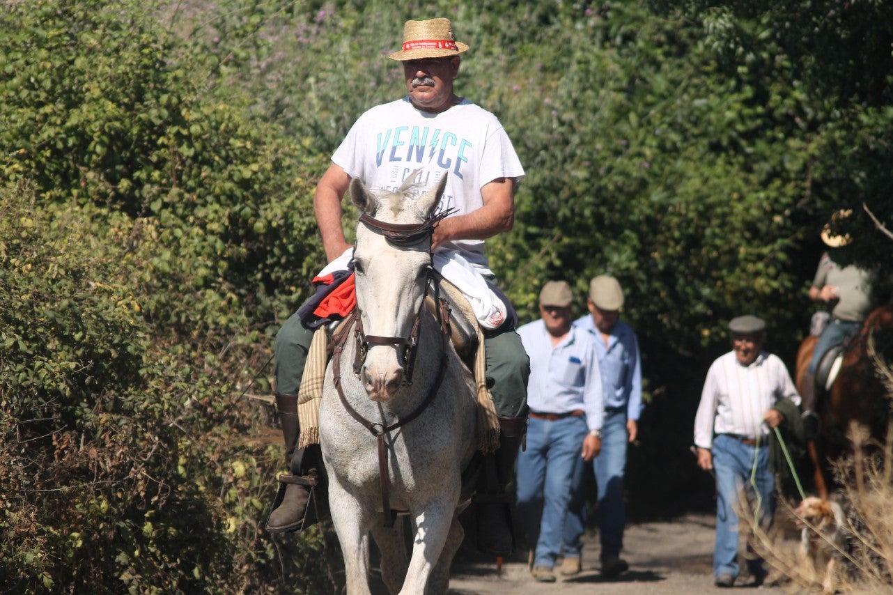 Imágenes de las actividades desarrolladas el domingo en la novena edición de 'vive la Trashumancia' (05-05-2019)