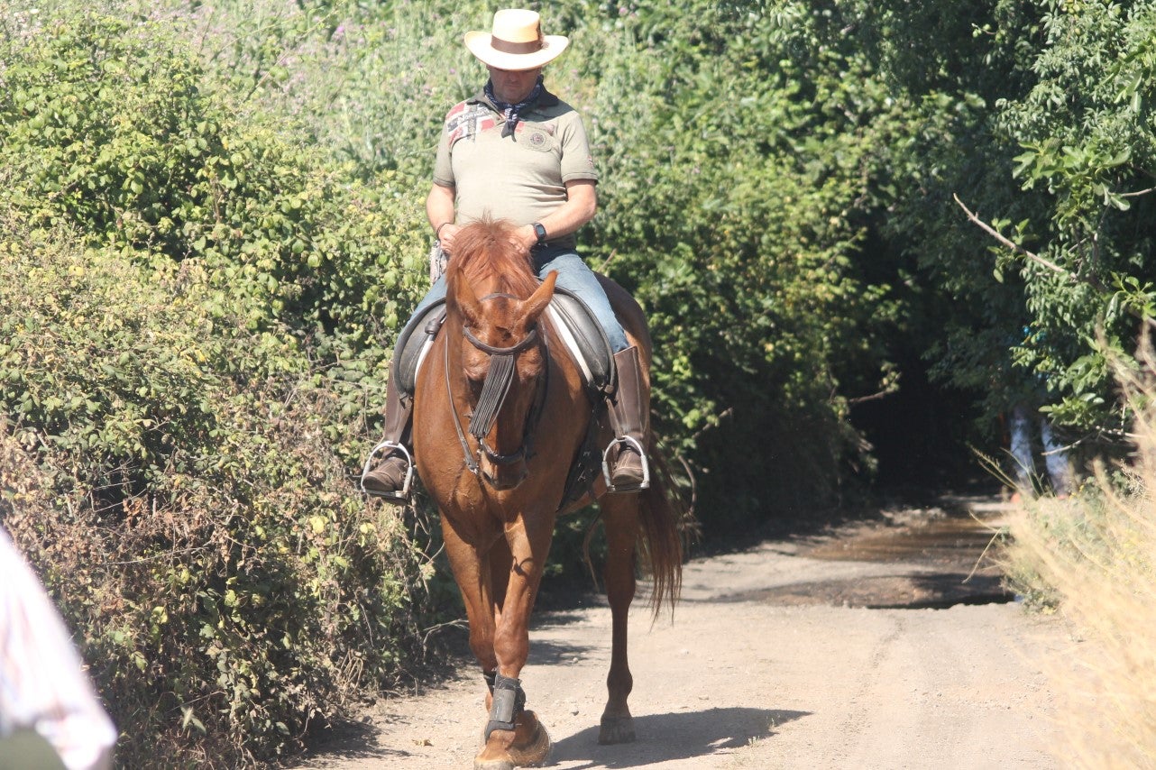 Imágenes de las actividades desarrolladas el domingo en la novena edición de 'vive la Trashumancia' (05-05-2019)