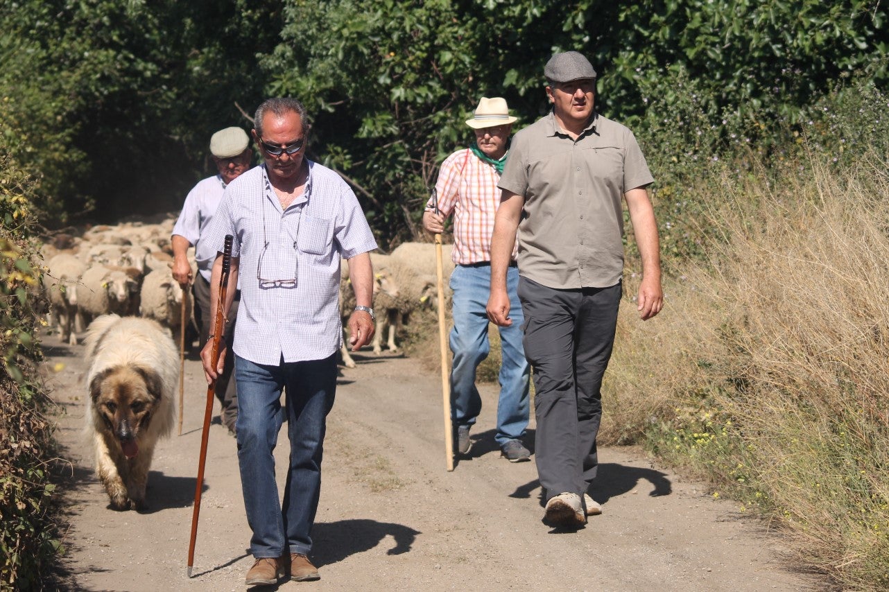 Imágenes de las actividades desarrolladas el domingo en la novena edición de 'vive la Trashumancia' (05-05-2019)