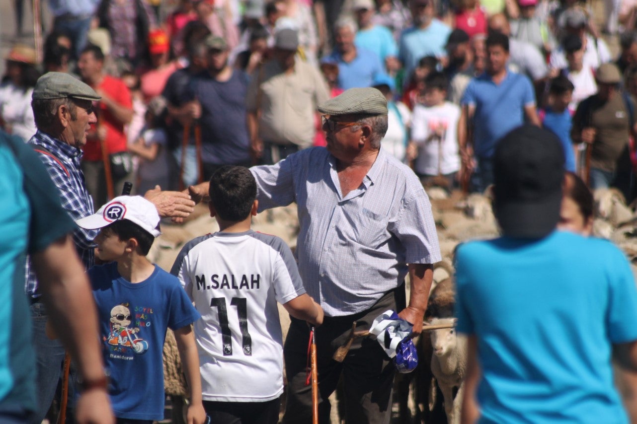 Imágenes de las actividades desarrolladas el domingo en la novena edición de 'vive la Trashumancia' (05-05-2019)