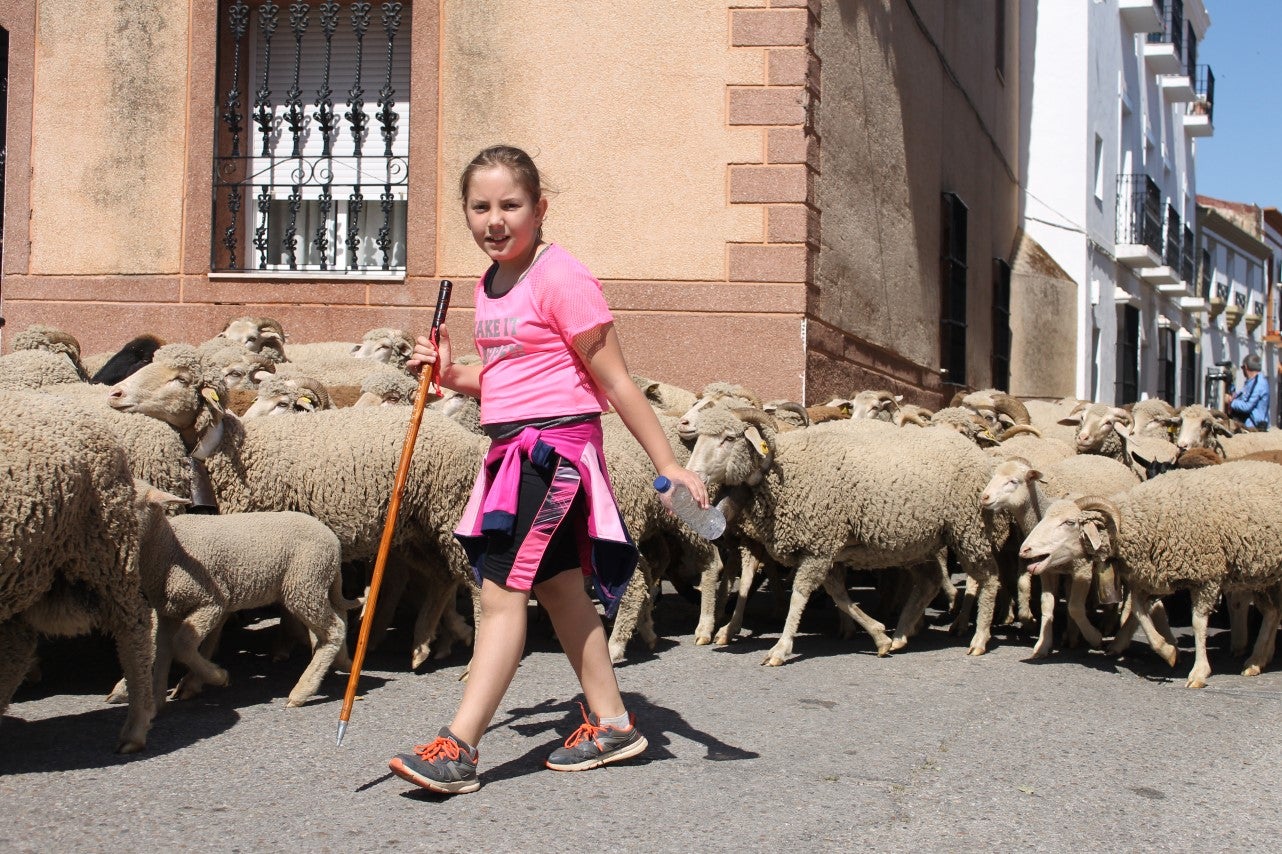 Imágenes de las actividades desarrolladas el domingo en la novena edición de 'vive la Trashumancia' (05-05-2019)