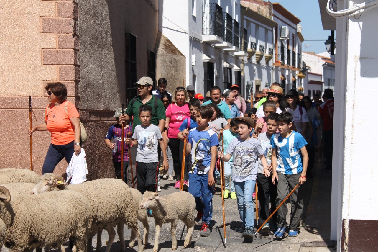 Imágenes de las actividades desarrolladas el domingo en la novena edición de 'vive la Trashumancia' (05-05-2019)