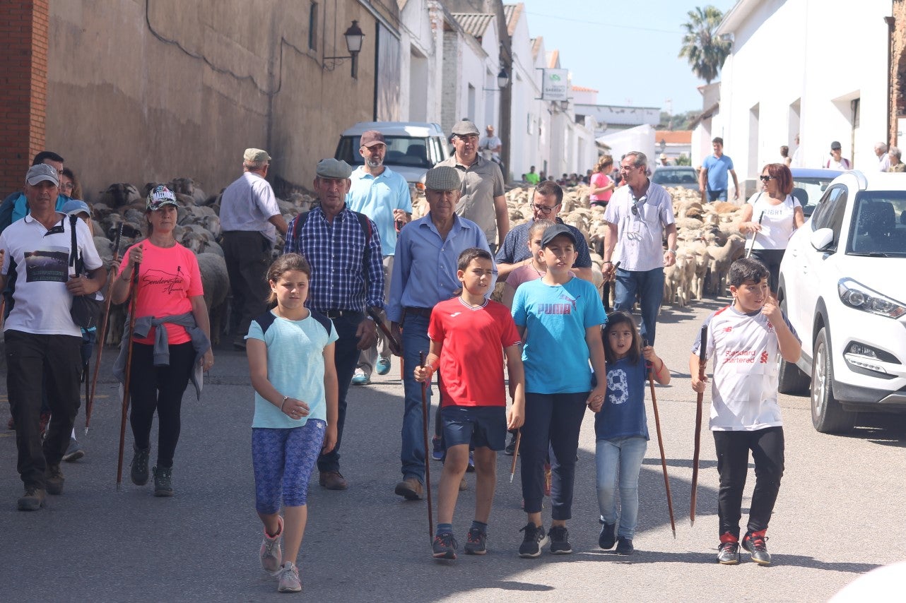 Imágenes de las actividades desarrolladas el domingo en la novena edición de 'vive la Trashumancia' (05-05-2019)