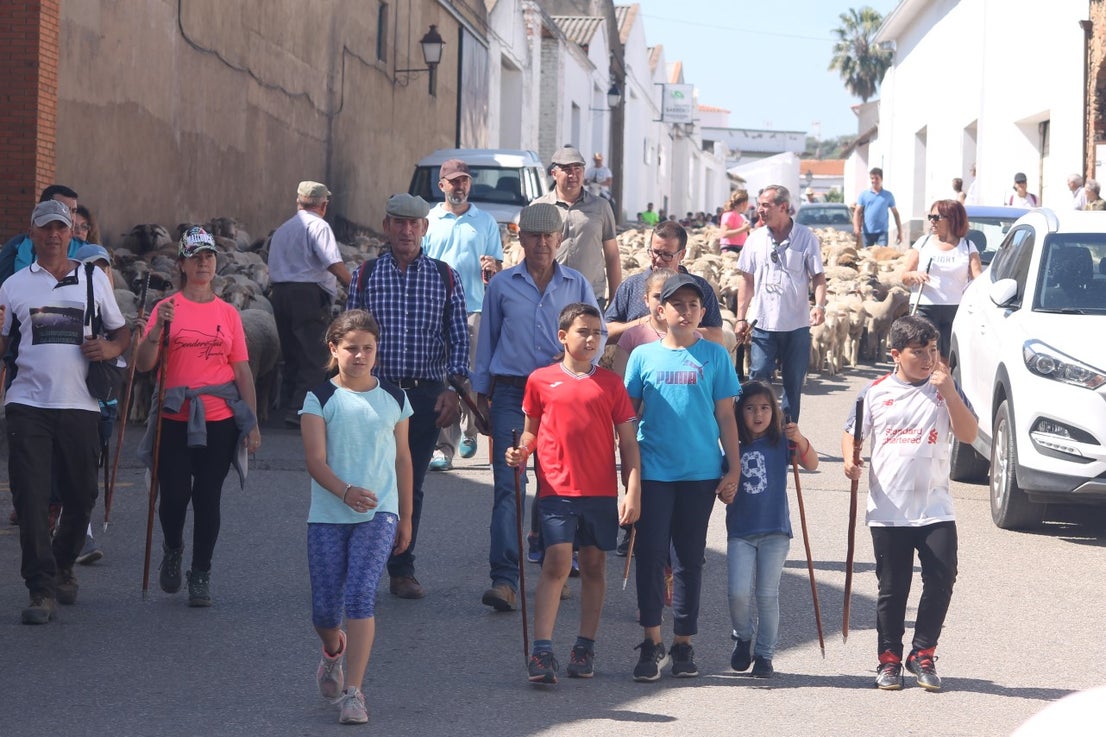 Imágenes de las actividades desarrolladas el domingo en la novena edición de 'vive la Trashumancia' (05-05-2019)