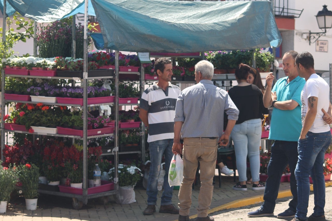 Imágenes de las actividades desarrolladas el domingo en la novena edición de 'vive la Trashumancia' (05-05-2019)