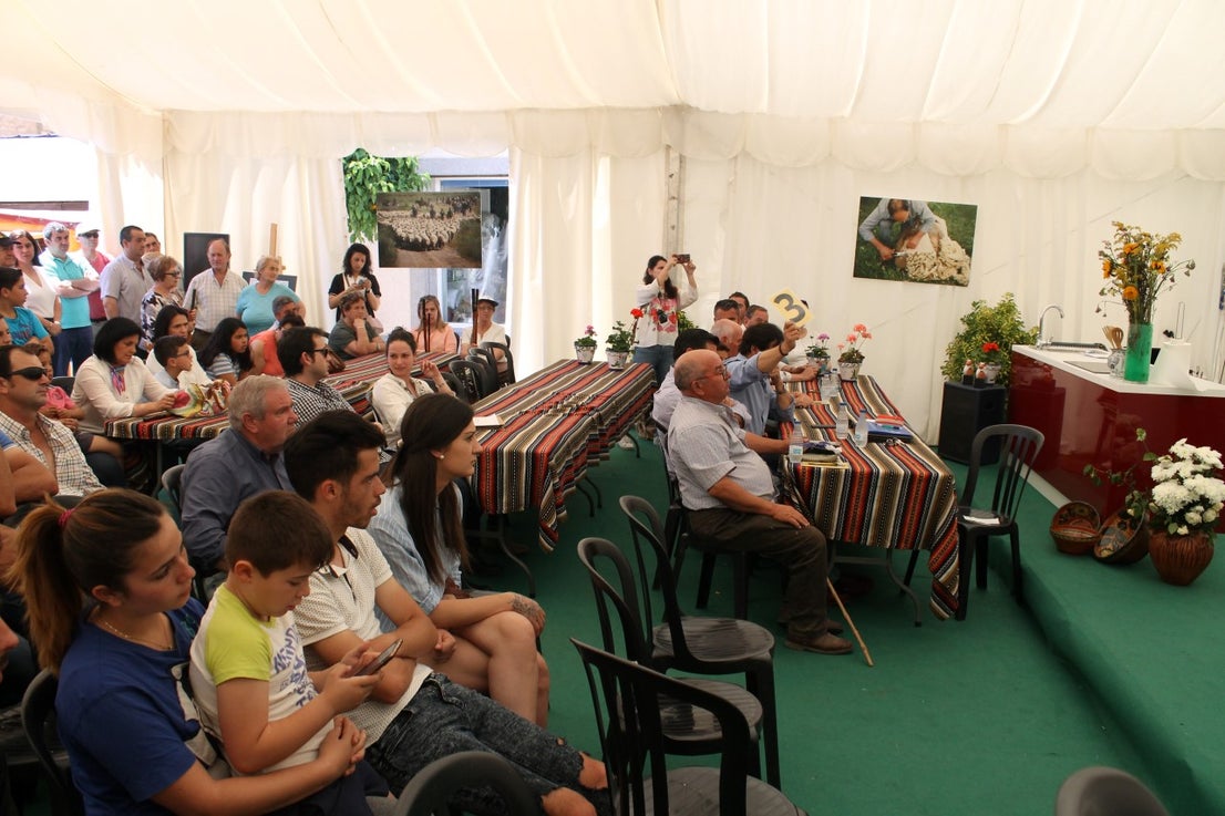 Imágenes de las actividades desarrolladas el domingo en la novena edición de 'vive la Trashumancia' (05-05-2019)