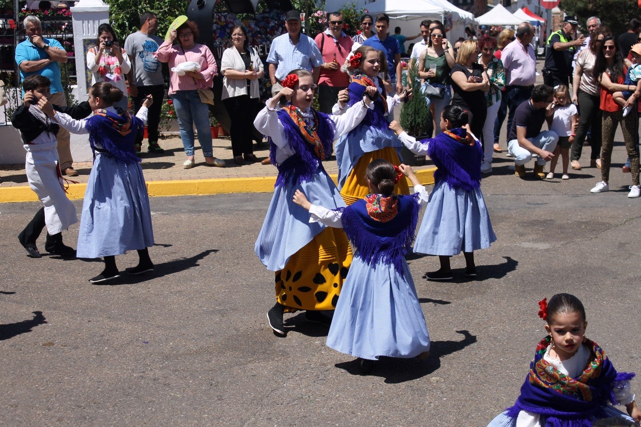 Imágenes de las actividades desarrolladas el domingo en la novena edición de 'vive la Trashumancia' (05-05-2019)