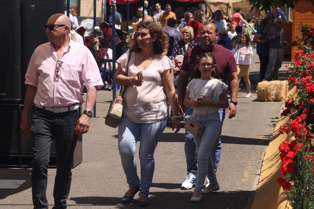 Imágenes de las actividades desarrolladas el domingo en la novena edición de 'vive la Trashumancia' (05-05-2019)