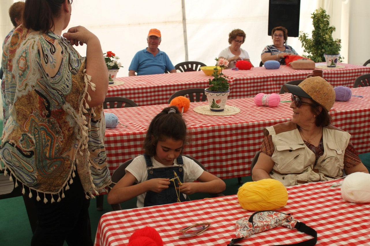 Imágenes de las actividades desarrolladas el domingo en la novena edición de 'vive la Trashumancia' (05-05-2019)