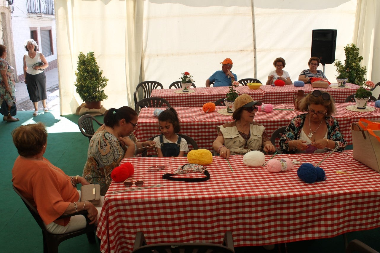 Imágenes de las actividades desarrolladas el domingo en la novena edición de 'vive la Trashumancia' (05-05-2019)