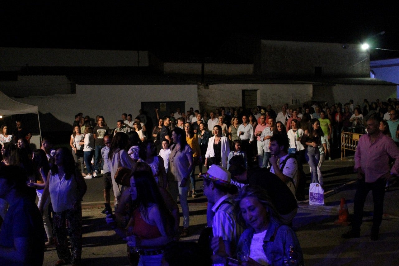 Fotos: Fevalpop 2019 (IV)