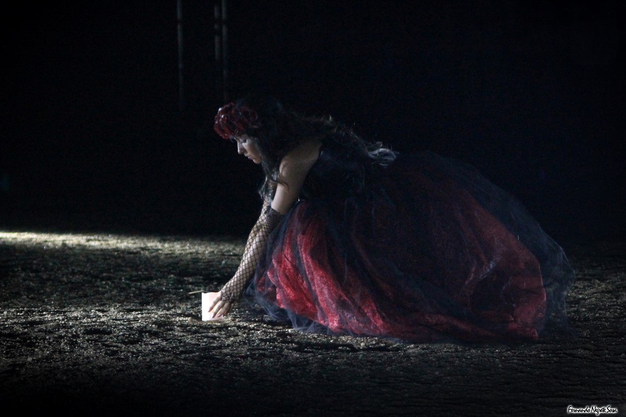 Imágenes del espectáculo de la Fuga de la Diabla celebrado en Valverde de Leganés (17-08-2019)