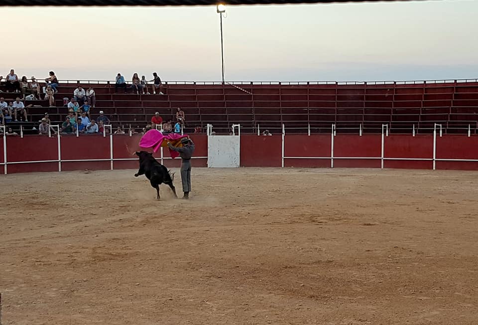 Algunas imágenes de las actividades celebradas el sábado en las Ferias y Fiestas de San Bartolomé 2019 (24-08-2019)