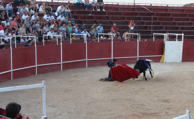Inicio de faena con rodilla en suelo
