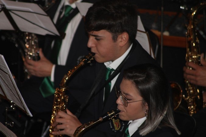 Fotos: Concierto de Santa Cecilia