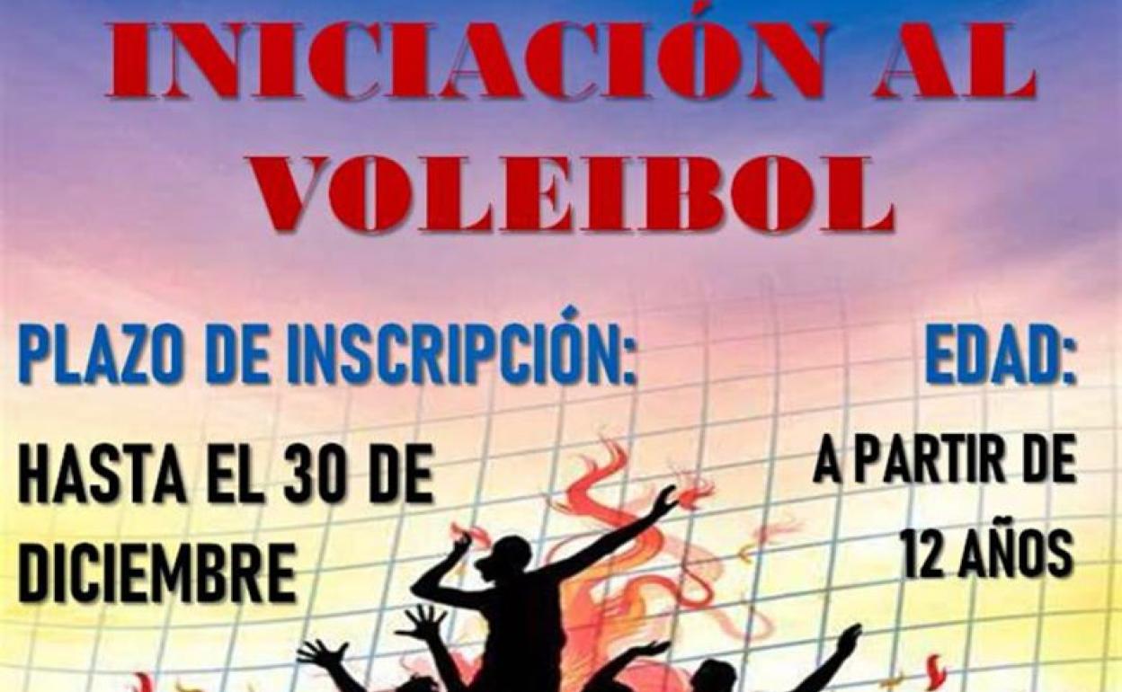 ¿Te quieres iniciar en el voleibol?