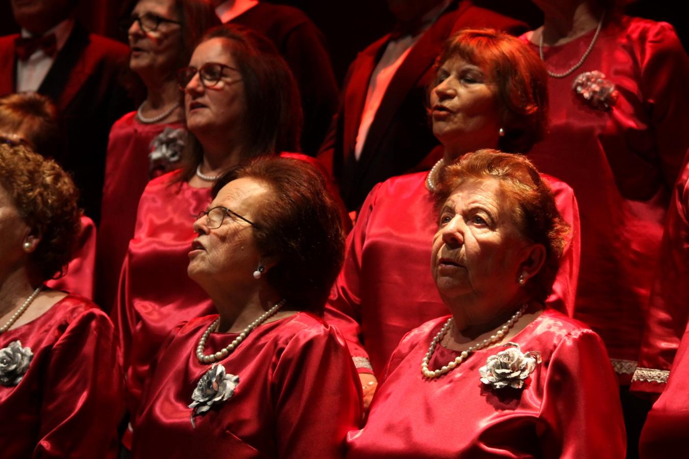 Fotos: Concierto de Villancicos 2019 (II)