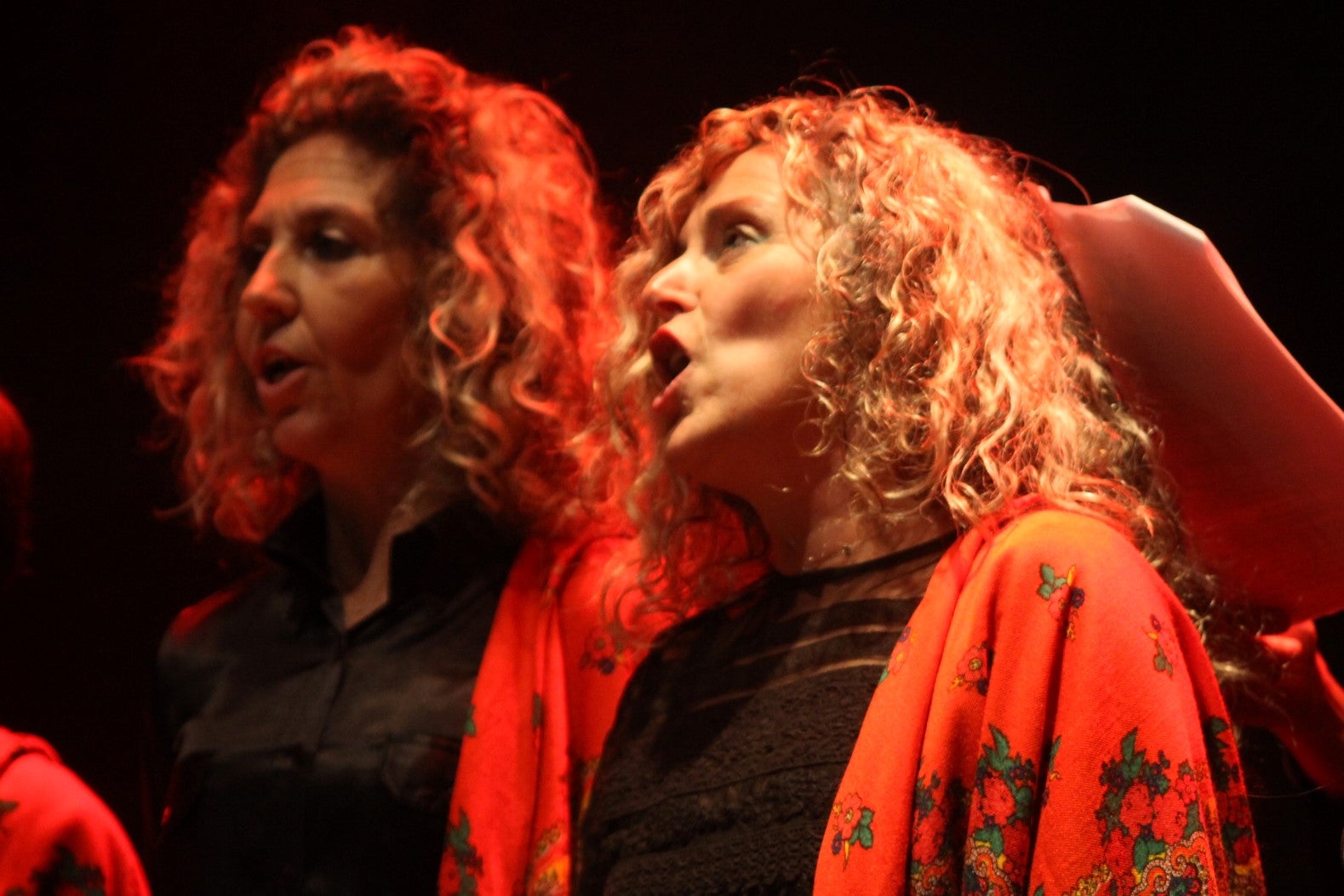 Fotos: Concierto de Villancicos 2019 (I)