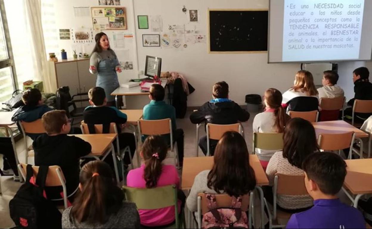 «Enseñarle a un niño a no pisar una oruga es tan importante para la oruga como para el niño»