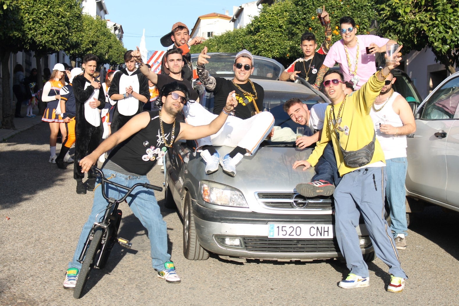 Fotos: Desfile del Carnaval 2020 (I)