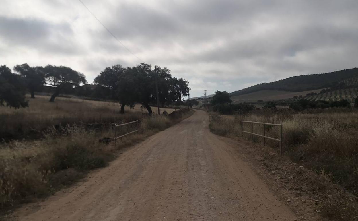 Un mastín ataca a un vecino