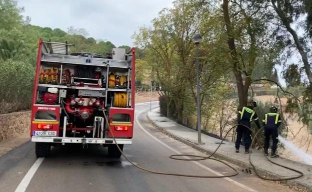 Labores de extinción