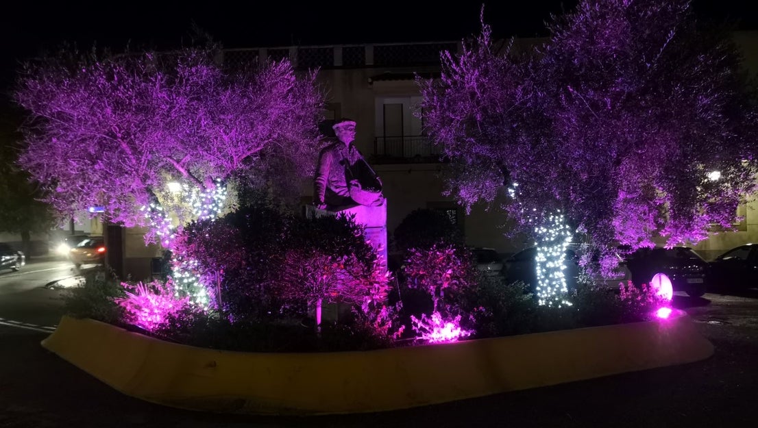 Fotos: Iluminación Navideña 2020