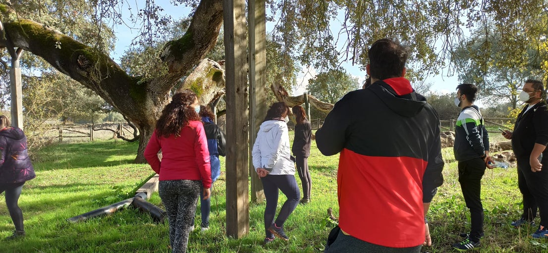 Fotos: Ruta Castillo de los Arcos 2020