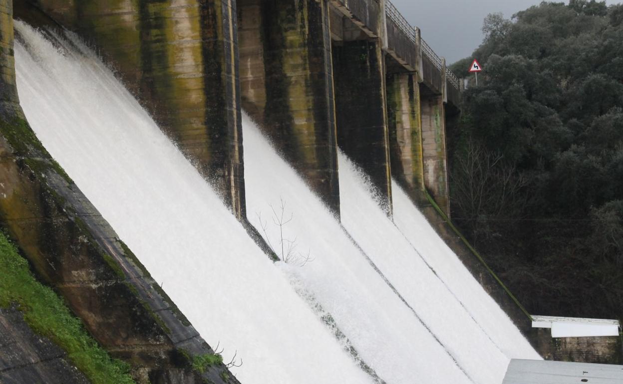 Los cuatro ojos vertiendo agua