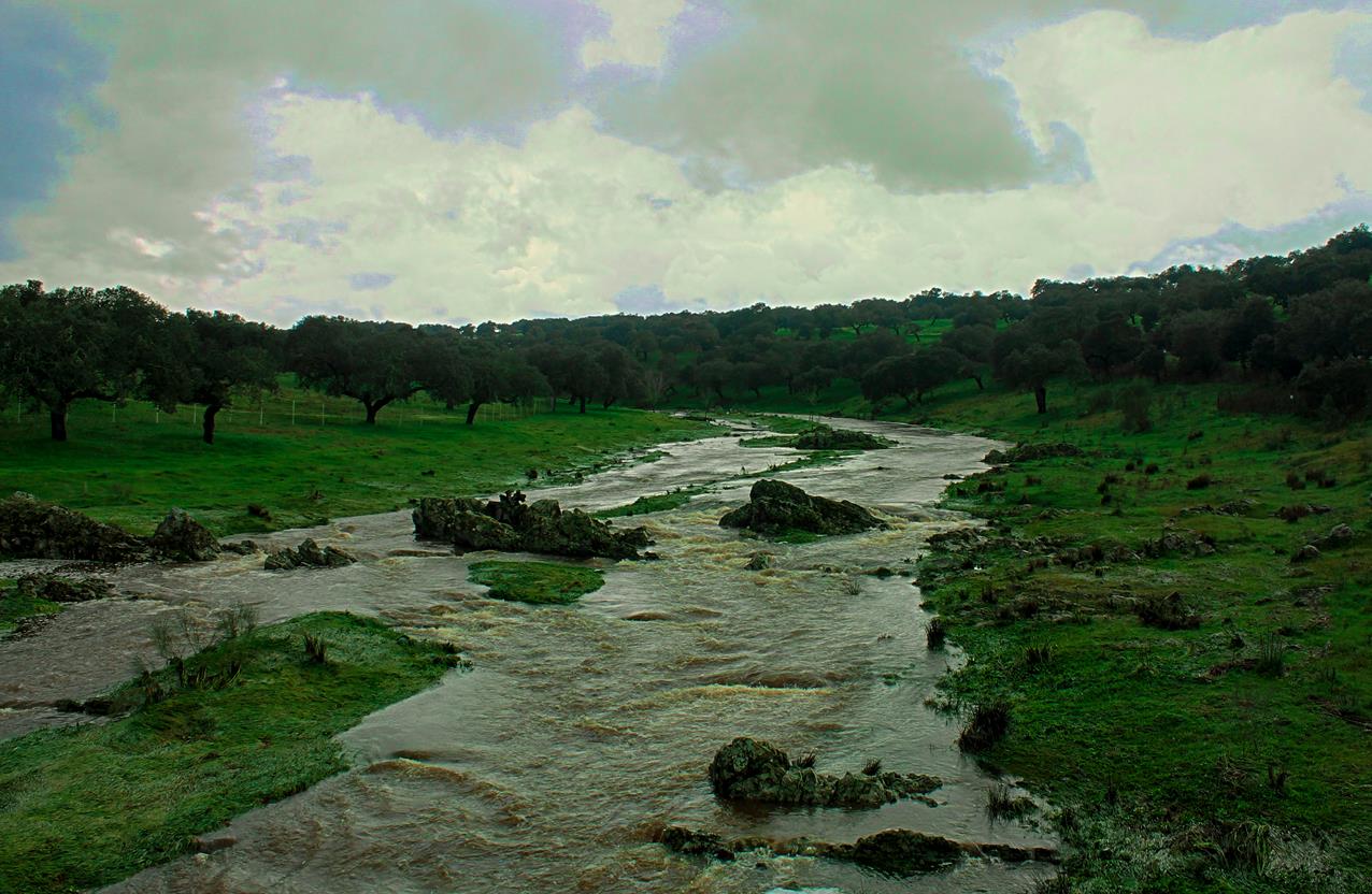 Fotos: Pantano de Piedra Aguda