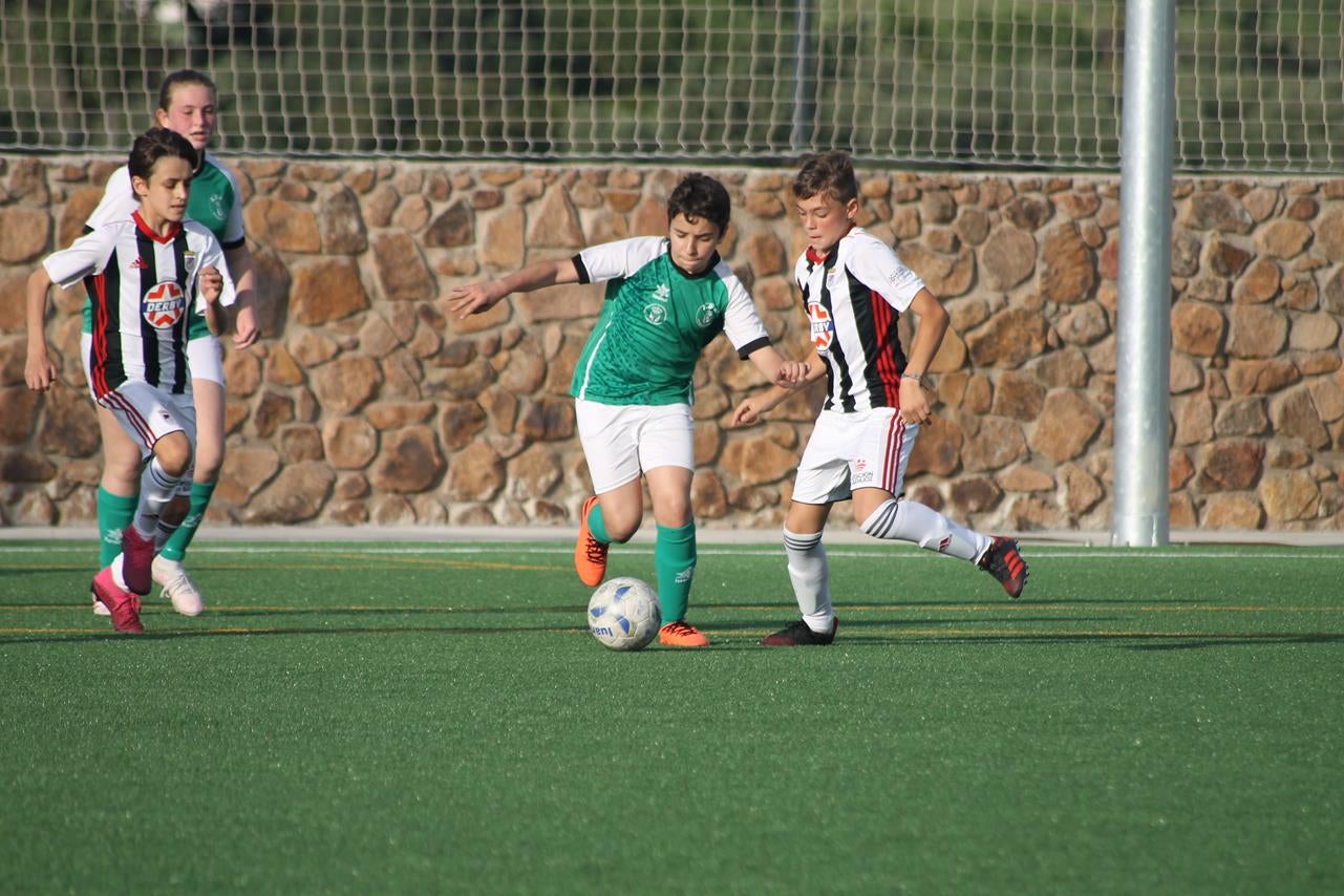 Fotos: Alevín A – Badajoz E