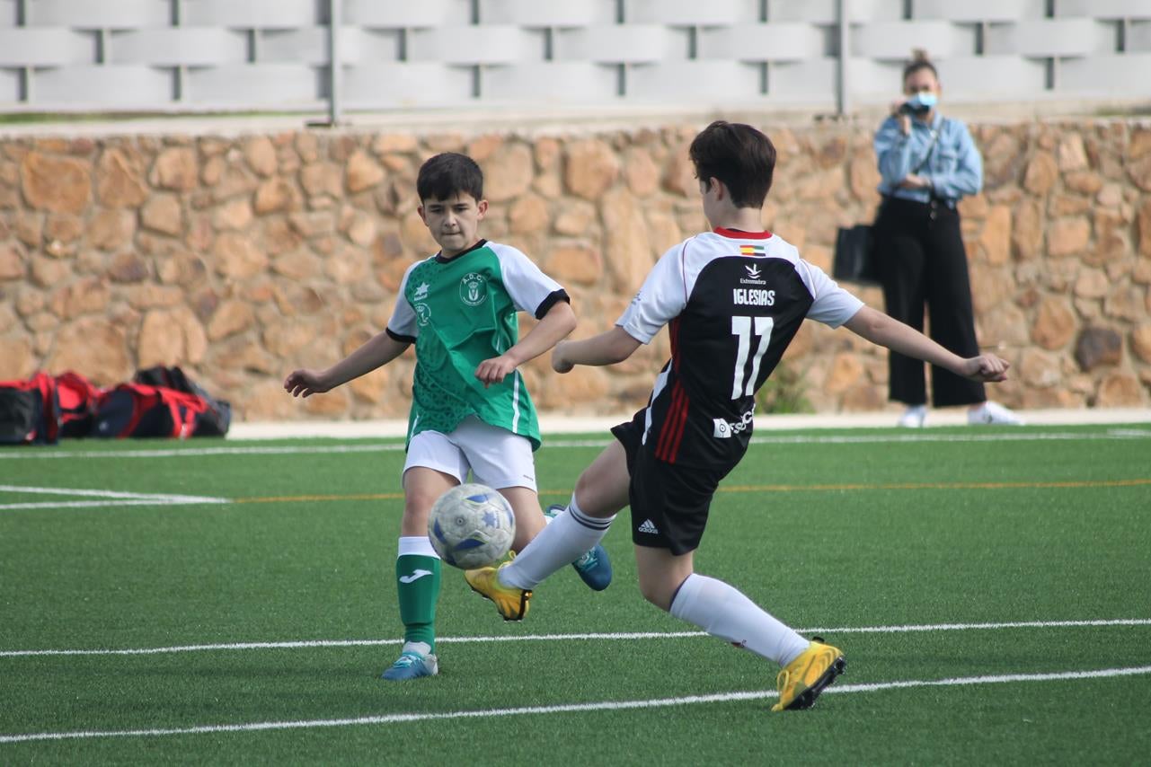 Fotos: Alevín B – Badajoz F