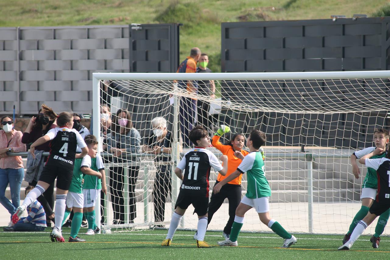 Fotos: Alevín B – Badajoz F