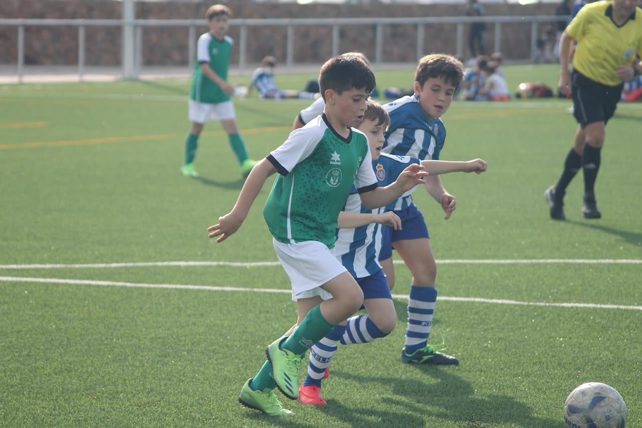 Fotos: Benjamín – EF Espanyol