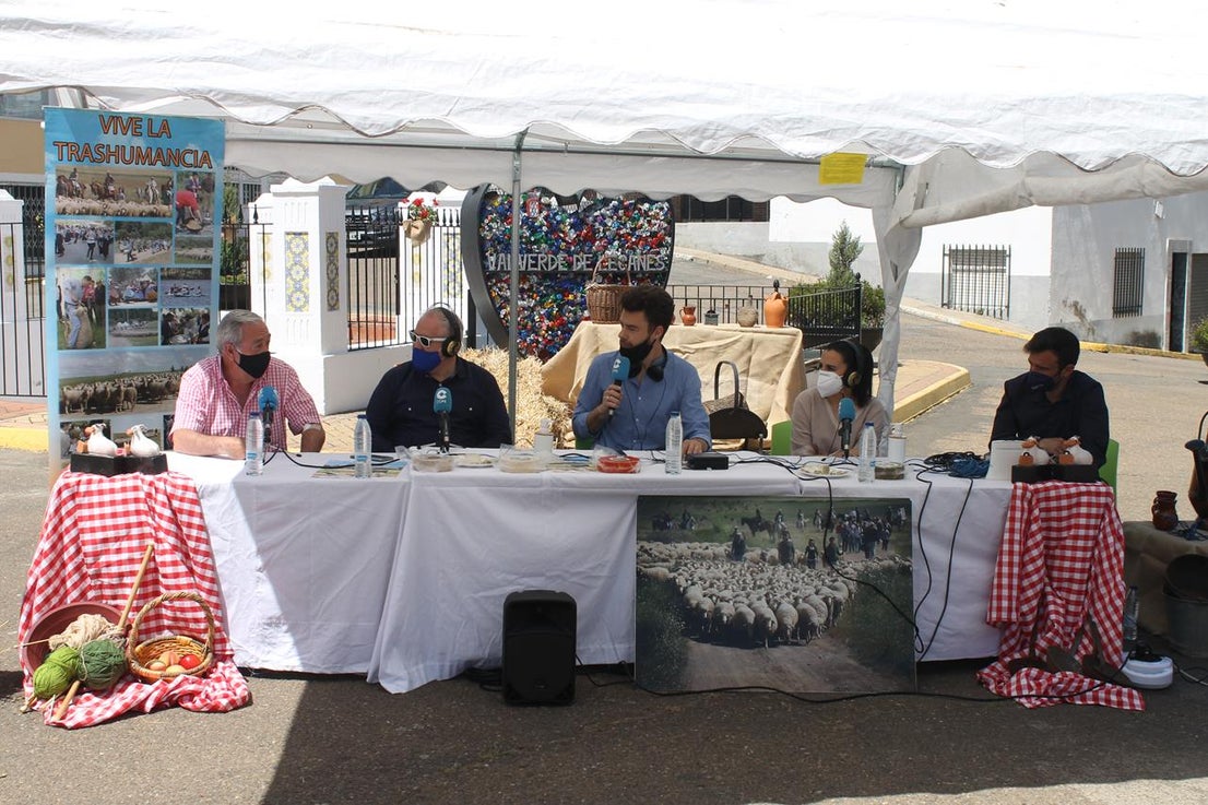 Fotos: X ‘Vive la Trashumancia’ (I)