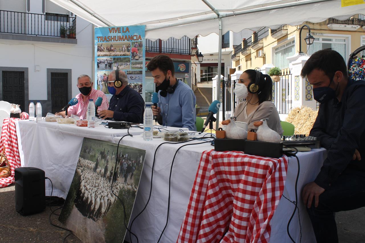 Fotos: X ‘Vive la Trashumancia’ (I)