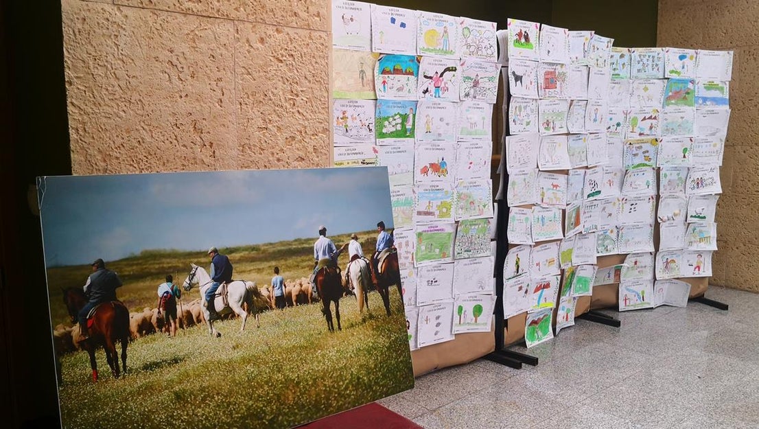 Fotos: X ‘Vive la Trashumancia’ (I)