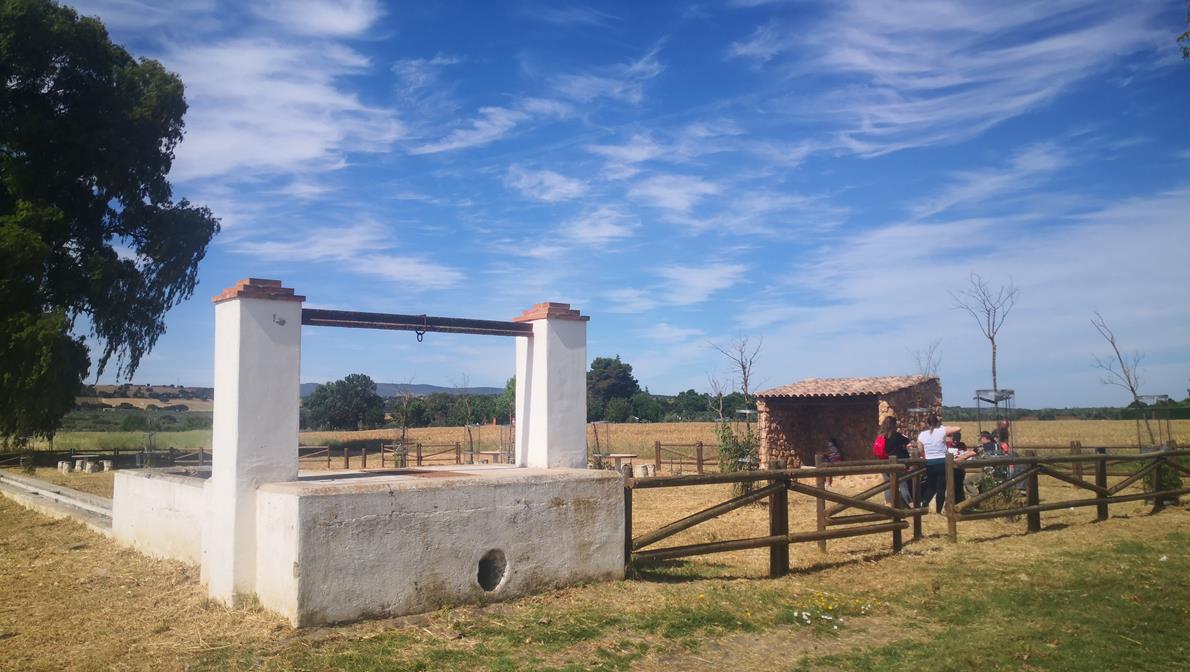 Fotos: X ‘Vive la Trashumancia’ (II)