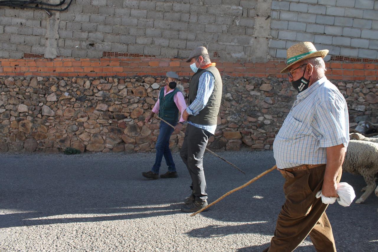 Fotos: X ‘Vive la Trashumancia’ (III)