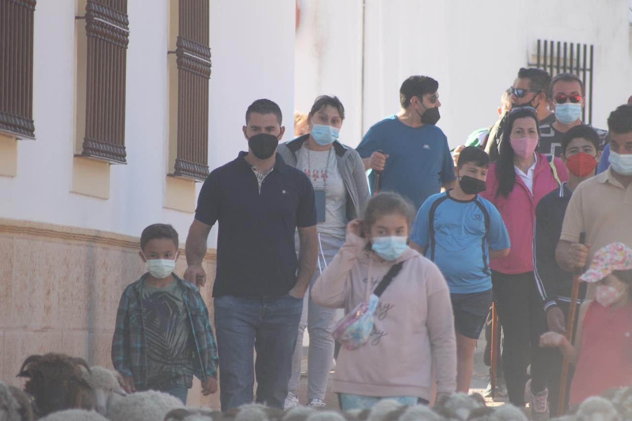 Fotos: X ‘Vive la Trashumancia’ (III)