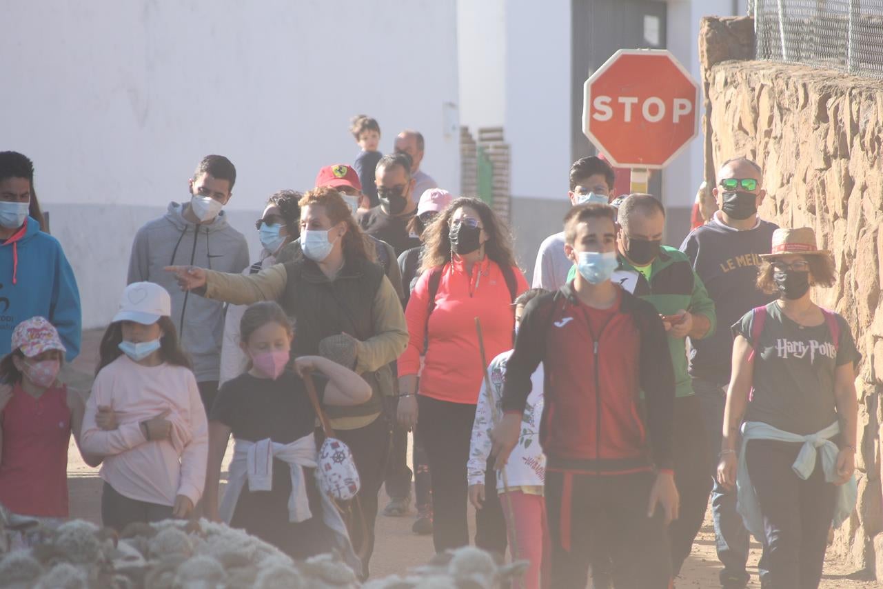 Fotos: X ‘Vive la Trashumancia’ (III)