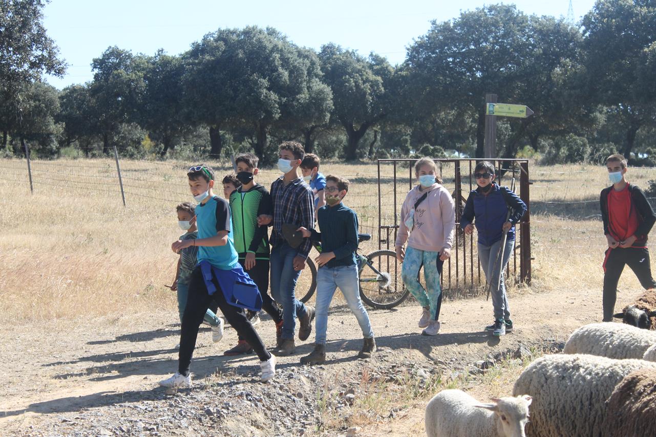 Fotos: X ‘Vive la Trashumancia’ (IV)