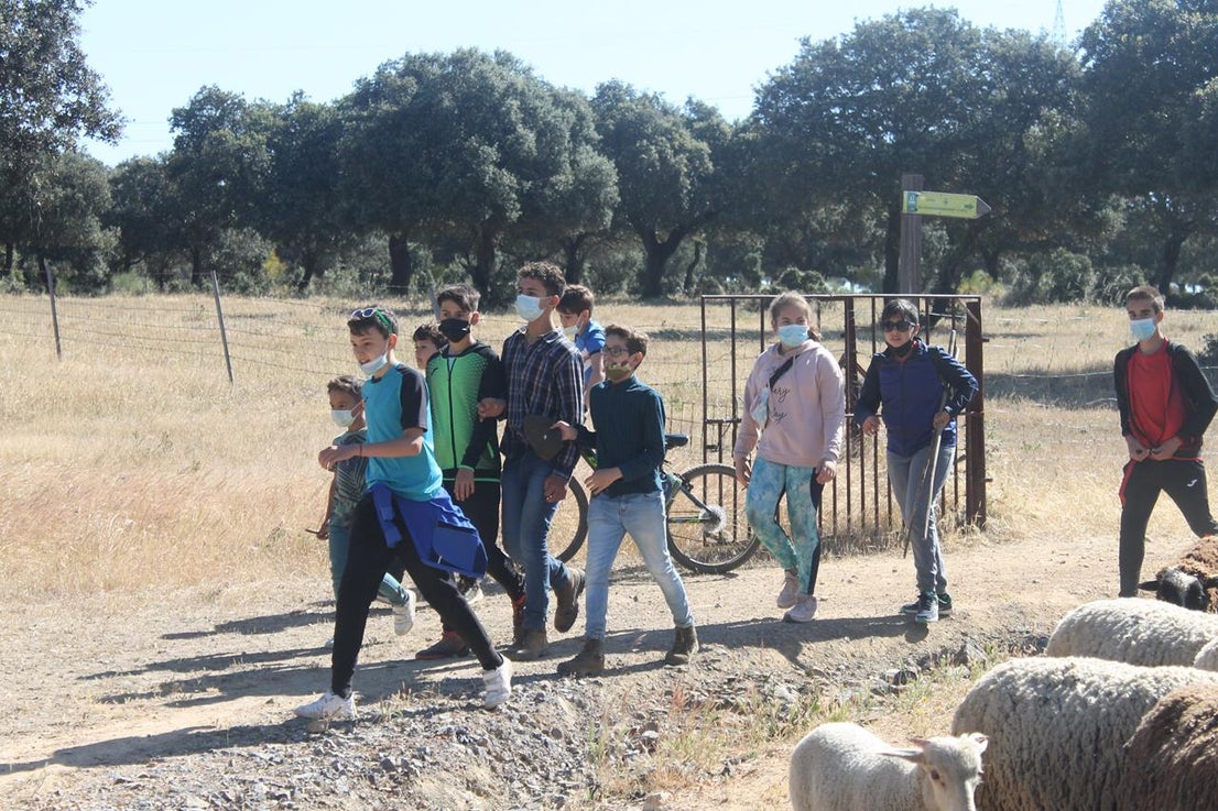 Fotos: X ‘Vive la Trashumancia’ (IV)