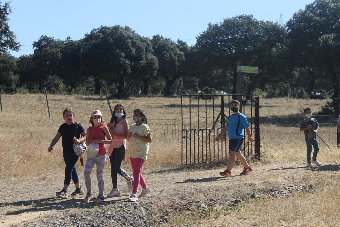 Fotos: X ‘Vive la Trashumancia’ (IV)