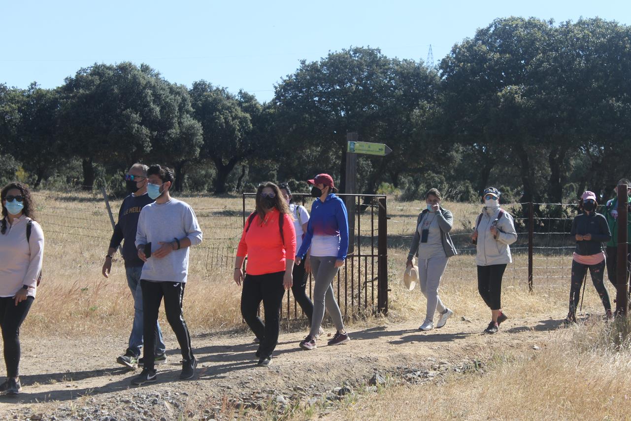 Fotos: X ‘Vive la Trashumancia’ (IV)